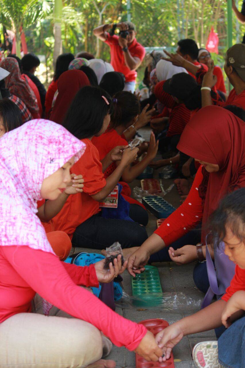 CIAMIK RUJAK'AN, DOLANAN, DAN TABUR BENIH IKAN