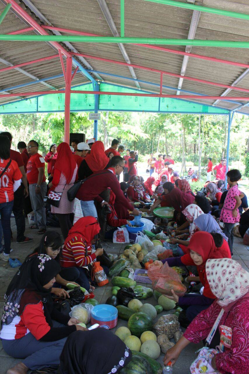 CIAMIK RUJAK'AN, DOLANAN, DAN TABUR BENIH IKAN