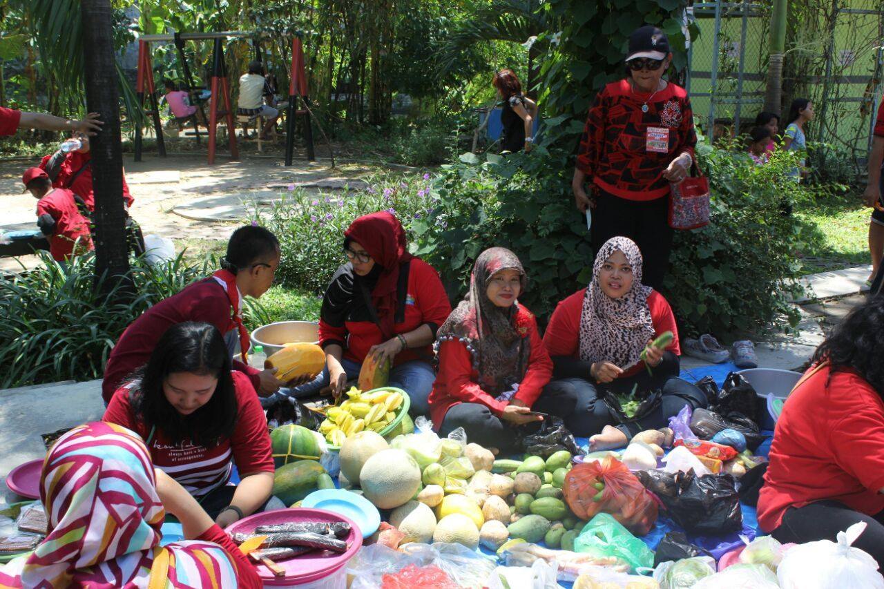 CIAMIK RUJAK'AN, DOLANAN, DAN TABUR BENIH IKAN